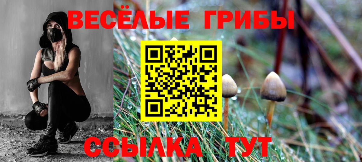 Кострома  Псилоцибиновые грибы Psilocybine cubensis  купить наркотик  Вход с VPN 